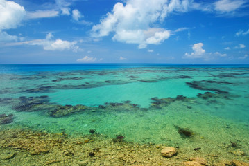 tropical sea at bermuda © be free