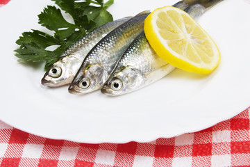 fresh sardines with lemon