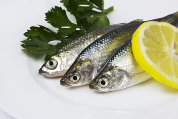 fresh sardines with lemon
