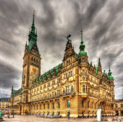 Fototapeta na wymiar View of Hamburg City Hall - Germany