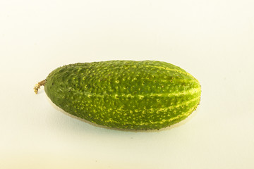 Cucumber