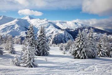 Fototapeta premium Winter Landscape
