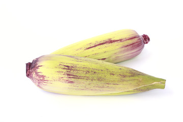Fototapeta premium Purple Corn - Stock Image
