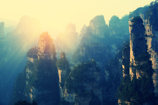 Fototapeta mountain landscape at zhangjiajie national park,china
