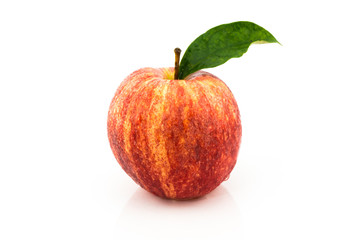 red apple on white background