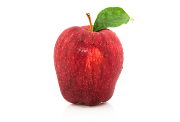red apple on white background