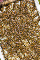 Extraction of honey from beehives