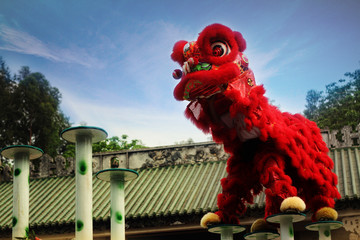 Chinese Traditional lion dancing