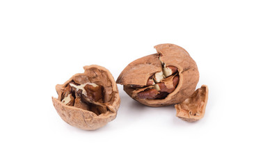 Cracked walnut.
