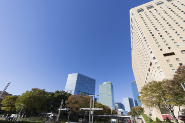 快晴青空　新宿高層ビル街と新宿中央公園を望む