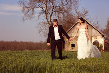 Bride and groom in a sunny day on a field