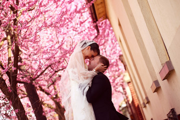 Fototapeta premium Bride and groom in spring time wedding