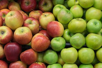 Green and red apples on shelf