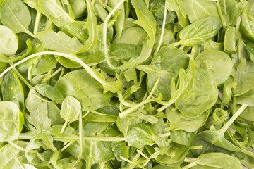 arugula salad