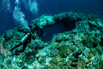Diver and mushroom leather corals in Banda, Indonesia underwater