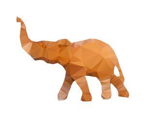 Polygonal illustration of head of elephant isolated