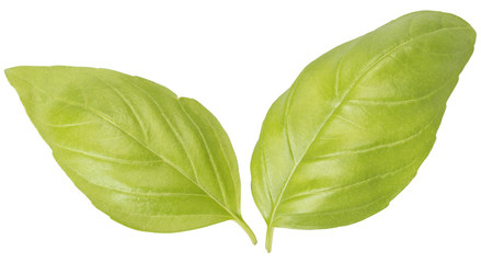 two basil leaves