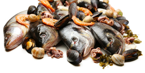 Fresh catch of fish and other seafood isolated on white