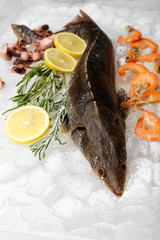Fresh fish and other seafood on ice