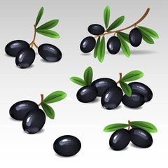 Black olives set2