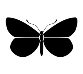 Butterfly silhouette