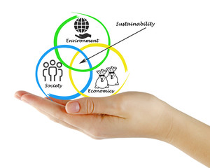 Presentation of diagram of sustainability