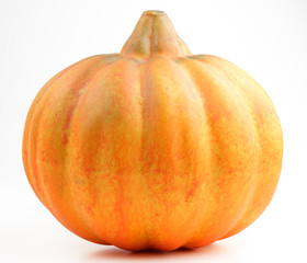 Ripe pumpkin