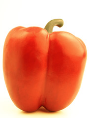 Peppers isolated on white background