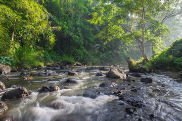 Morning river in Bali