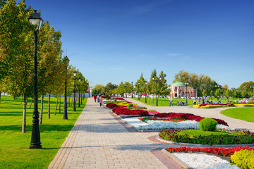 Green city park in sunny summer day