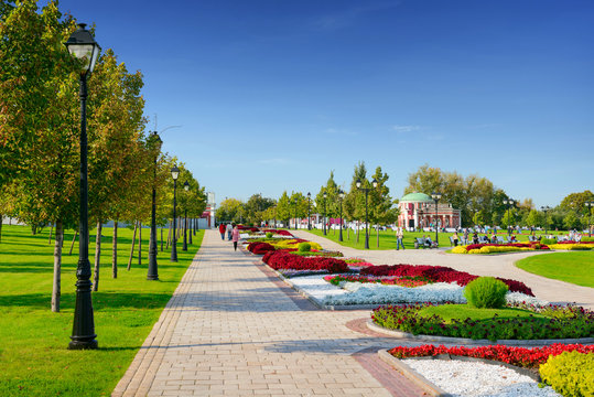 Fototapeta Green city park in sunny summer day