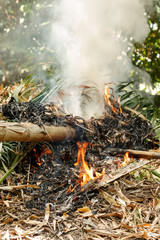 Bonfire from burning leaves