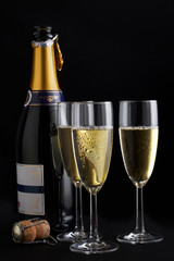 Champagne bottle and glasses