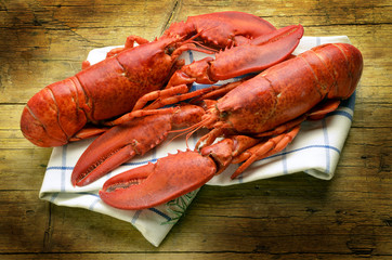 Homarus americanus American lobster Expo Milan 2015 food