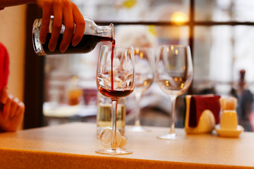 Wine tasting in bar