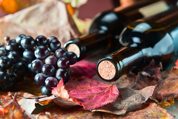 bottle with wine