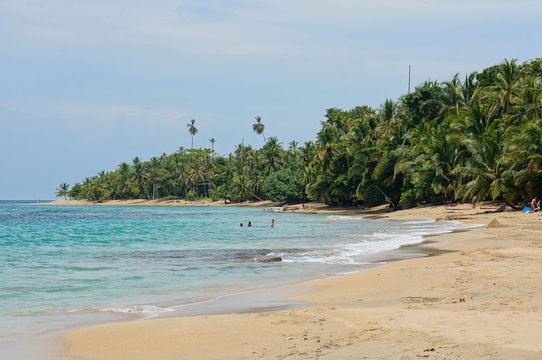 Central America beach with lush tropical vegetation
