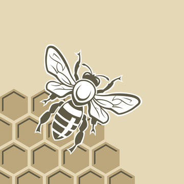 monochrome design with bee and of honeycomb