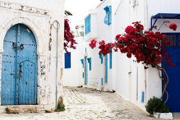 Blue doors, window and white wall of building in Sidi Bou Said © myrka
