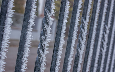 Frosty fence 2