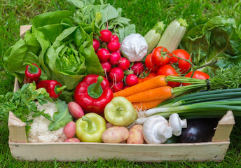 Fresh vegetables in crate