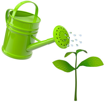 green watering can waters sprout clip art preview