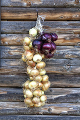 Onion braid © Camera Nation