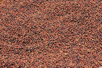 Red peppercorns