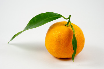 Orange mandarin / clementine / tangerine with green leaf