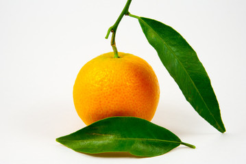 Orange mandarin / clementine / tangerine with green leaf