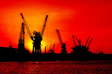 Obraz premium Cranes silhouette and sunset light background.