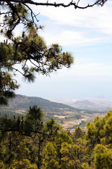 el teide national park (Tenerife)