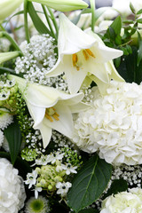 weiße Blumen