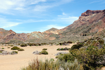 Fototapeta na wymiar El Teide national park at Tenerife (Spain)
